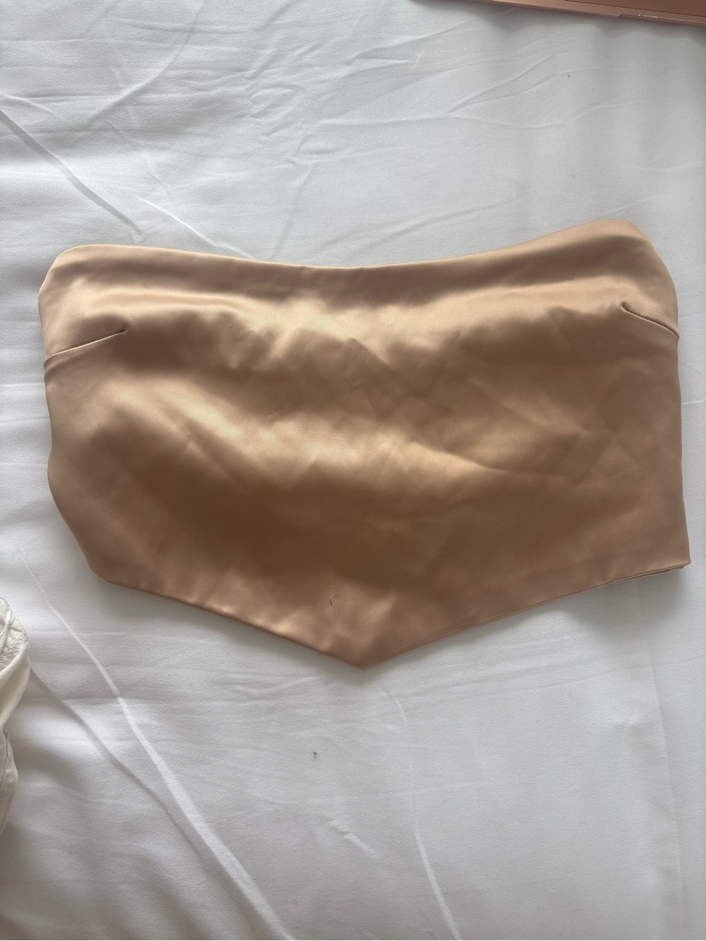 Strapless Satin Bustier Top in Champagne